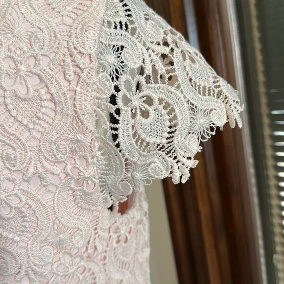 Cynthia Steffe | Reese Cap Sleeve Lace Shift Dress Size 2 - Picture 7 of 15